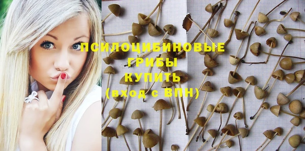прущие крисы Абаза