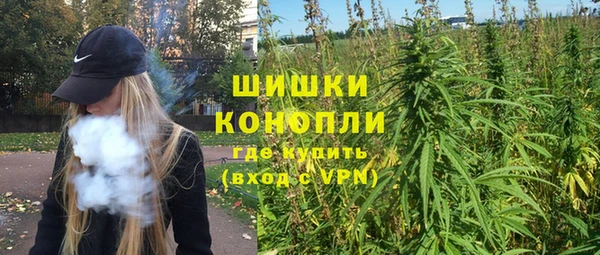 прущие крисы Абаза