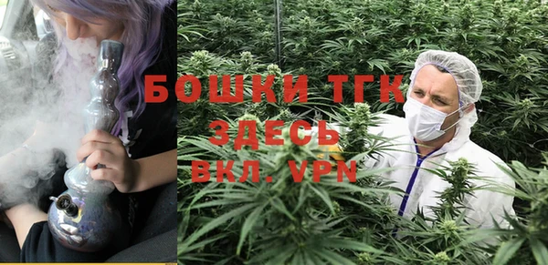 прущие крисы Абаза